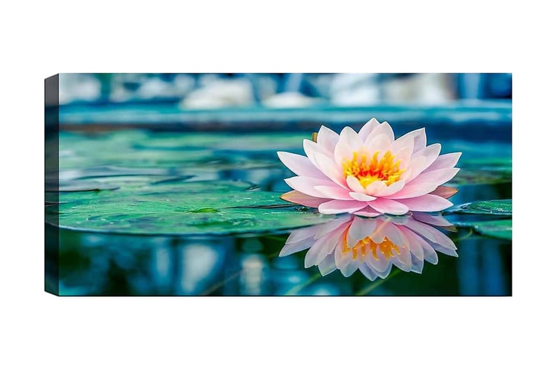 Canvastavla YTY Floral & Botanical Flerfärgad - 120x50 cm - Inredning - Tavlor & posters - Canvastavla