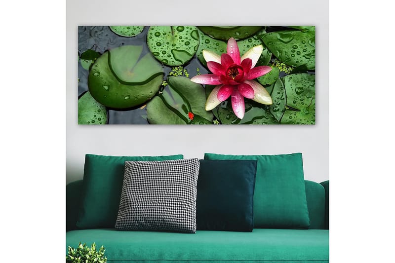 Canvastavla YTY Floral & Botanical Flerfärgad - 120x50 cm - Inredning - Tavlor & posters - Canvastavla