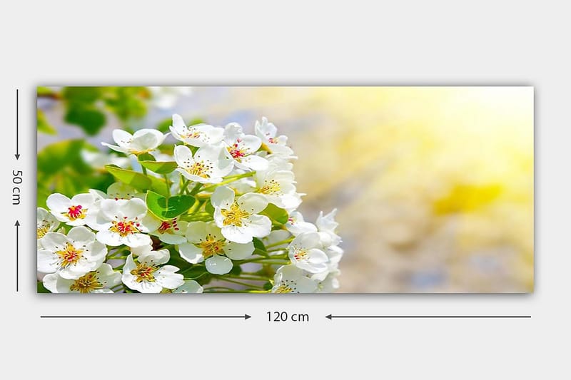 Canvastavla YTY Floral & Botanical Flerfärgad - 120x50 cm - Inredning - Tavlor & posters - Canvastavla