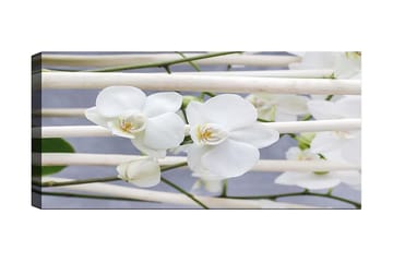 Canvastavla YTY Floral & Botanical Flerfärgad - 120x50 cm - Inredning - Tavlor & posters - Canvastavla