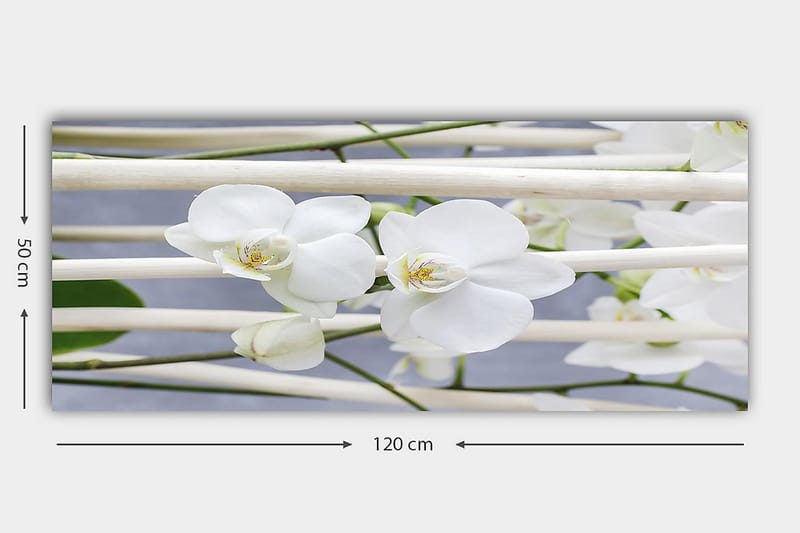 Canvastavla YTY Floral & Botanical Flerfärgad - 120x50 cm - Inredning - Tavlor & posters - Canvastavla
