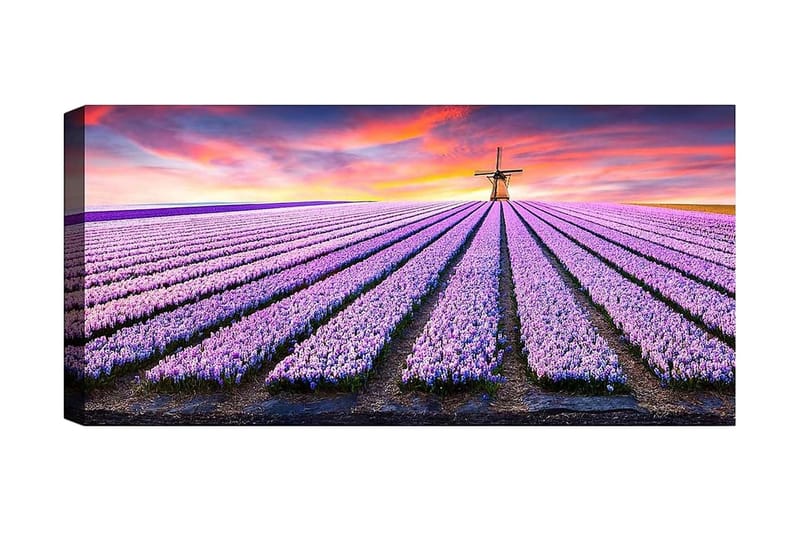 Canvastavla YTY Floral & Botanical Flerfärgad - 120x50 cm - Inredning - Tavlor & posters - Canvastavla