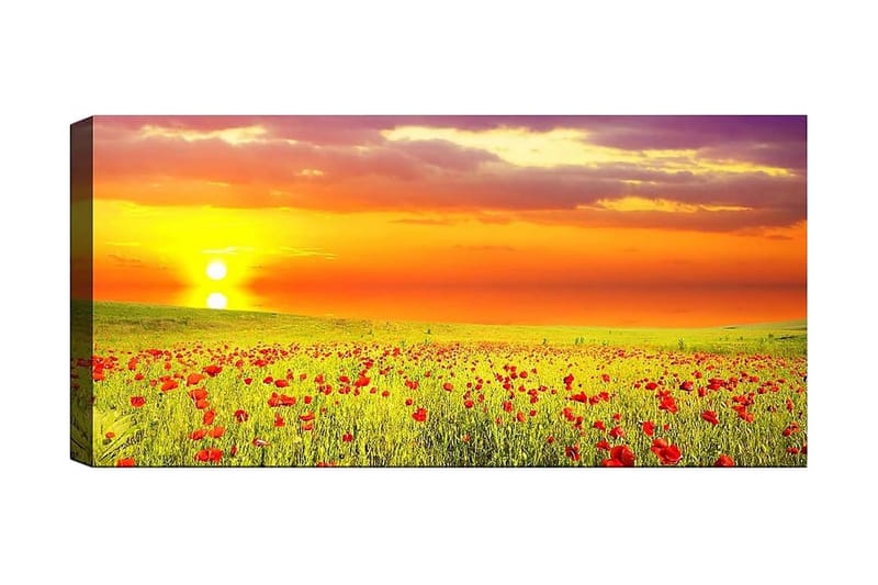 Canvastavla YTY Floral & Botanical Flerfärgad - 120x50 cm - Inredning - Tavlor & posters - Canvastavla