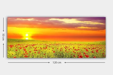Canvastavla YTY Floral & Botanical Flerfärgad - 120x50 cm - Inredning - Tavlor & posters - Canvastavla