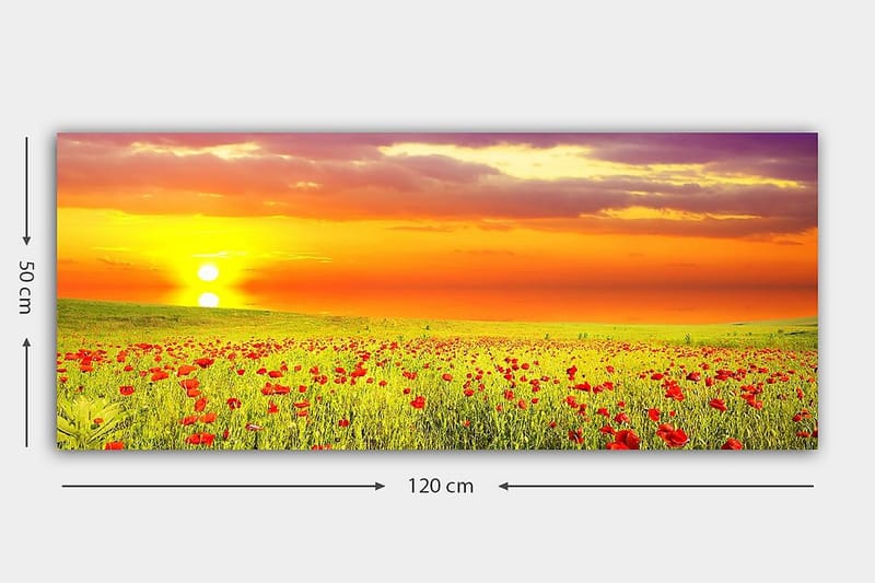 Canvastavla YTY Floral & Botanical Flerfärgad - 120x50 cm - Inredning - Tavlor & posters - Canvastavla