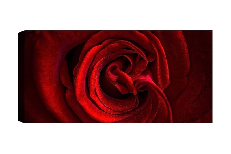 Canvastavla YTY Floral & Botanical Flerfärgad - 120x50 cm - Inredning - Tavlor & posters - Canvastavla