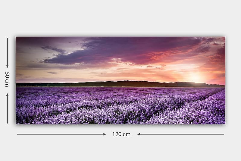 Canvastavla YTY Floral & Botanical Flerfärgad - 120x50 cm - Inredning - Tavlor & posters - Canvastavla
