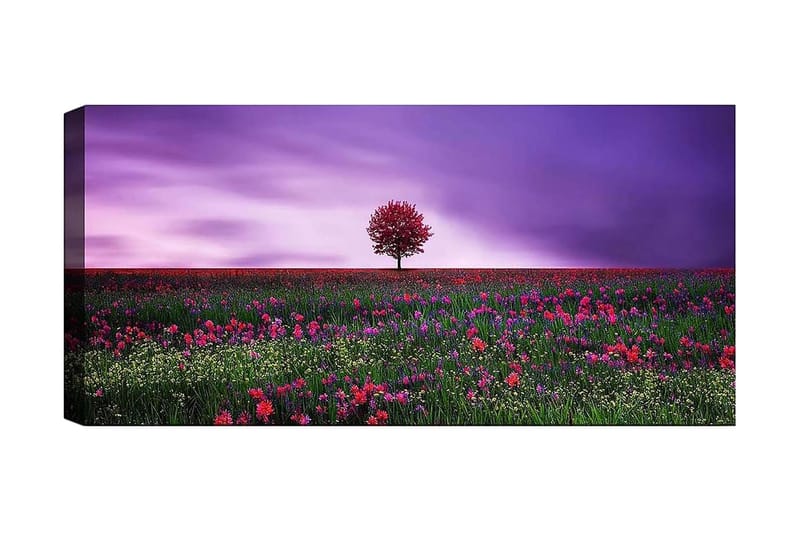 Canvastavla YTY Floral & Botanical Flerfärgad - 120x50 cm - Inredning - Tavlor & posters - Canvastavla