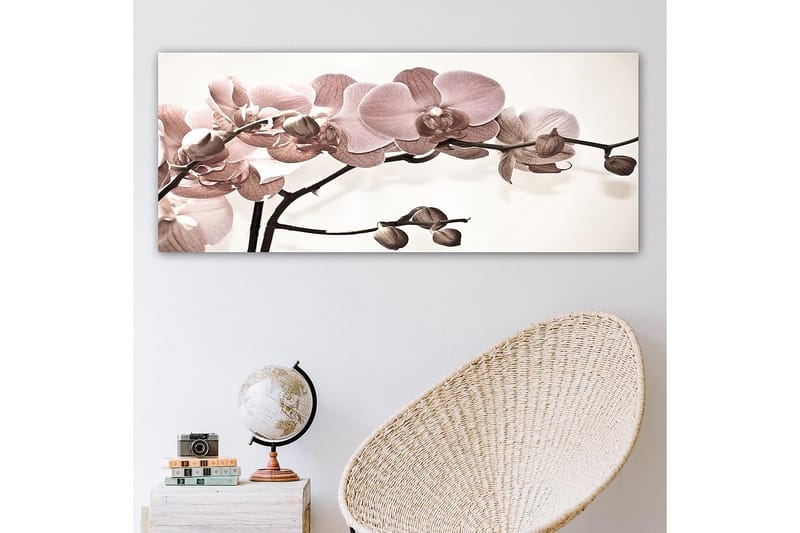 Canvastavla YTY Floral & Botanical Flerfärgad - 120x50 cm - Canvastavla