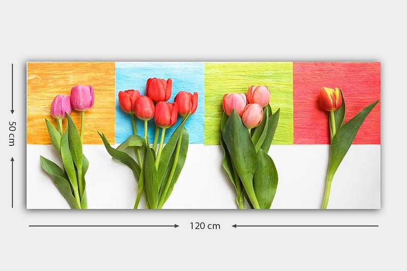 Canvastavla YTY Floral & Botanical Flerfärgad - 120x50 cm - Inredning - Tavlor & posters - Canvastavla