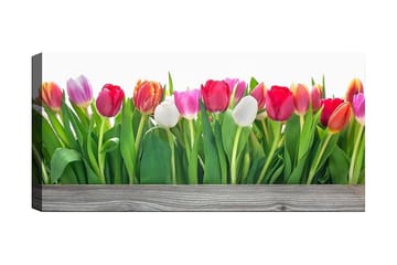 Canvastavla YTY Floral & Botanical Flerfärgad - 120x50 cm - Inredning - Tavlor & posters - Canvastavla
