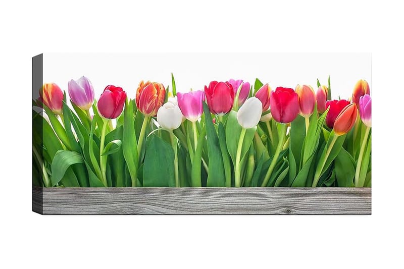 Canvastavla YTY Floral & Botanical Flerfärgad - 120x50 cm - Inredning - Tavlor & posters - Canvastavla
