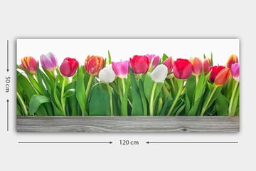 Canvastavla YTY Floral & Botanical Flerfärgad - 120x50 cm - Inredning - Tavlor & posters - Canvastavla