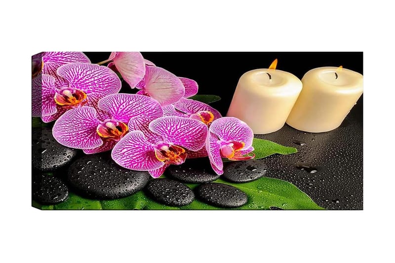 Canvastavla YTY Floral & Botanical Flerfärgad - 120x50 cm - Inredning - Tavlor & posters - Canvastavla