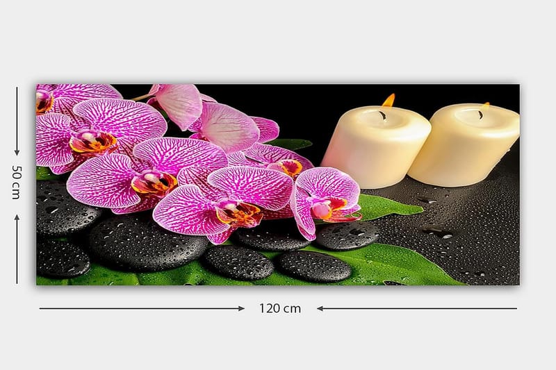 Canvastavla YTY Floral & Botanical Flerfärgad - 120x50 cm - Inredning - Tavlor & posters - Canvastavla