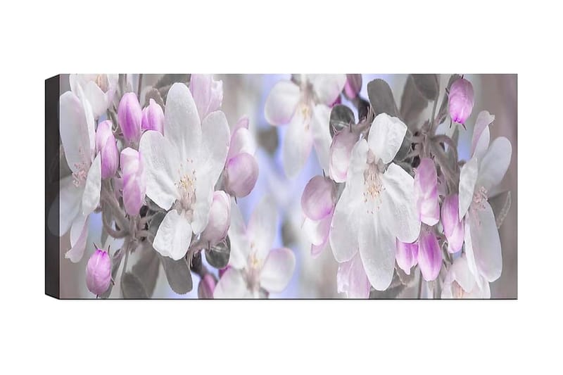 Canvastavla YTY Floral & Botanical Flerfärgad - 120x50 cm - Inredning - Tavlor & posters - Canvastavla