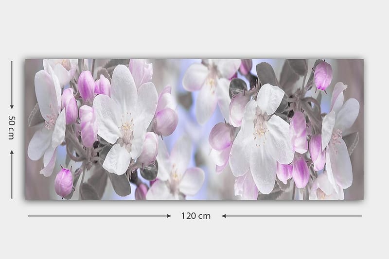 Canvastavla YTY Floral & Botanical Flerfärgad - 120x50 cm - Inredning - Tavlor & posters - Canvastavla