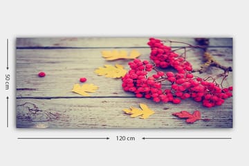 Canvastavla YTY Floral & Botanical Flerfärgad - 120x50 cm - Inredning - Tavlor & posters - Canvastavla
