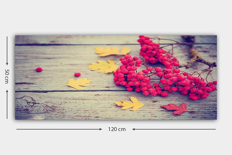 Canvastavla YTY Floral & Botanical Flerfärgad - 120x50 cm - Inredning - Tavlor & posters - Canvastavla