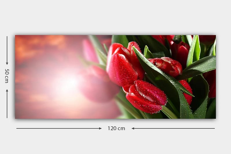 Canvastavla YTY Floral & Botanical Flerfärgad - 120x50 cm - Inredning - Tavlor & posters - Canvastavla
