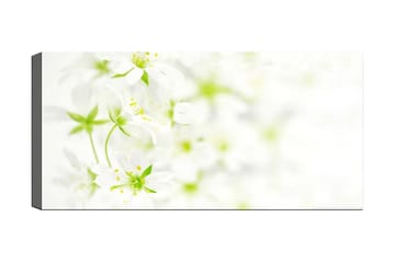 Canvastavla YTY Floral & Botanical Flerfärgad - 120x50 cm - Inredning - Tavlor & posters - Canvastavla