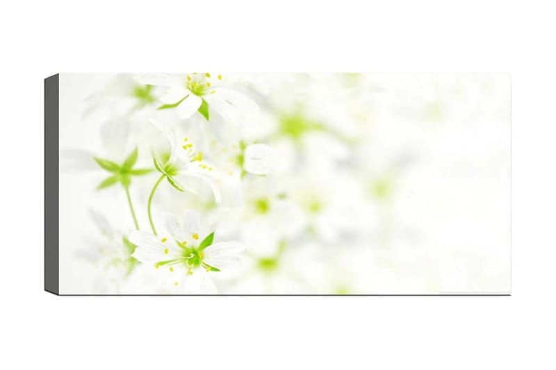 Canvastavla YTY Floral & Botanical Flerfärgad - 120x50 cm - Inredning - Tavlor & posters - Canvastavla