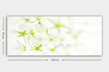 Canvastavla YTY Floral & Botanical Flerfärgad - 120x50 cm - Inredning - Tavlor & posters - Canvastavla