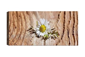 Canvastavla YTY Floral & Botanical Flerfärgad - 120x50 cm - Inredning - Tavlor & posters - Canvastavla