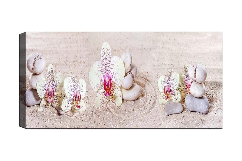 Canvastavla YTY Floral & Botanical Flerfärgad - 120x50 cm - Inredning - Tavlor & posters - Canvastavla
