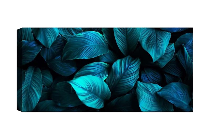 Canvastavla YTY Floral & Botanical Flerfärgad - 120x50 cm - Inredning - Tavlor & posters - Canvastavla