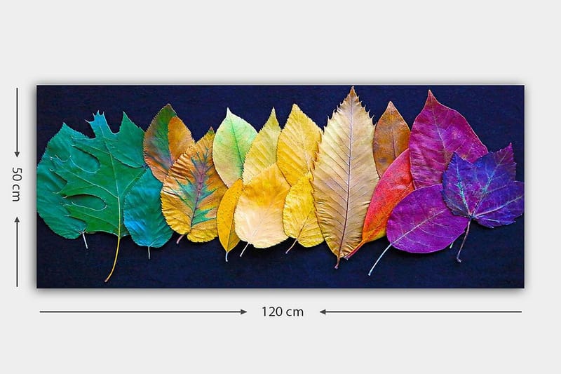 Canvastavla YTY Floral & Botanical Flerfärgad - 120x50 cm - Inredning - Tavlor & posters - Canvastavla