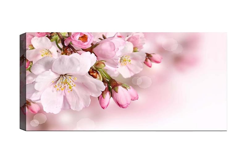 Canvastavla YTY Floral & Botanical Flerfärgad - 120x50 cm - Inredning - Tavlor & posters - Canvastavla