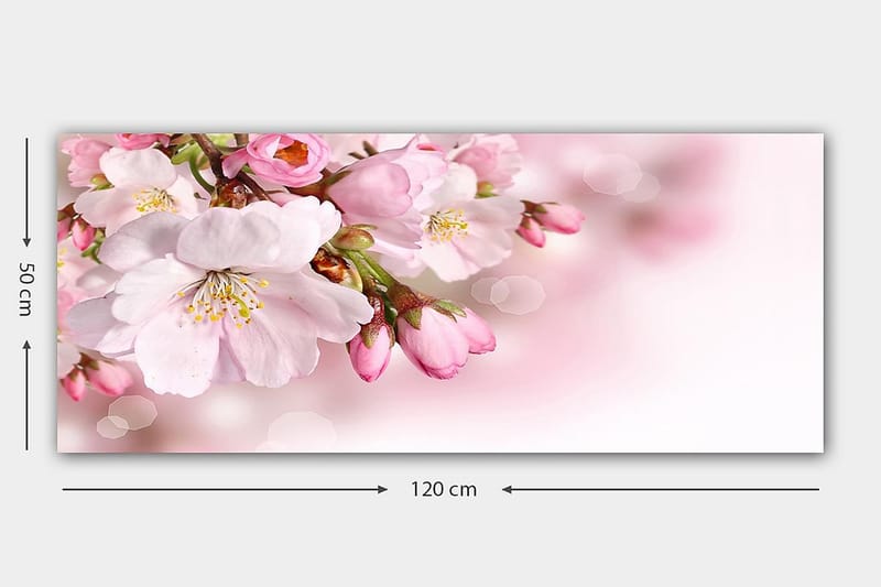 Canvastavla YTY Floral & Botanical Flerfärgad - 120x50 cm - Inredning - Tavlor & posters - Canvastavla