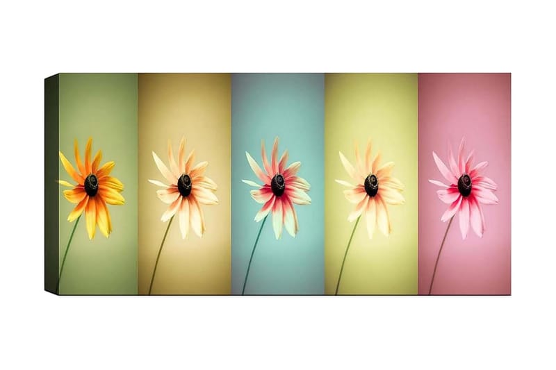 Canvastavla YTY Floral & Botanical Flerfärgad - 120x50 cm - Inredning - Tavlor & posters - Canvastavla