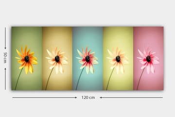 Canvastavla YTY Floral & Botanical Flerfärgad - 120x50 cm - Inredning - Tavlor & posters - Canvastavla