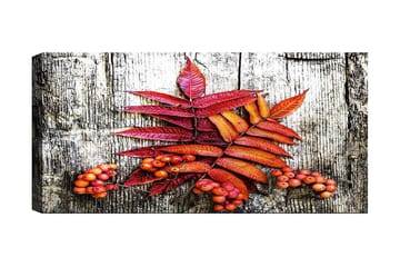 Canvastavla YTY Floral & Botanical Flerfärgad - 120x50 cm - Inredning - Tavlor & posters - Canvastavla