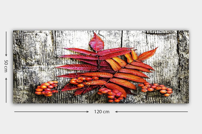 Canvastavla YTY Floral & Botanical Flerfärgad - 120x50 cm - Inredning - Tavlor & posters - Canvastavla