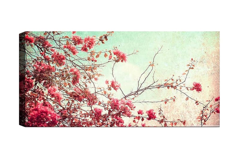 Canvastavla YTY Floral & Botanical Flerfärgad - 120x50 cm - Inredning - Tavlor & posters - Canvastavla