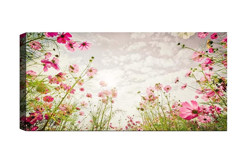 Canvastavla YTY Floral & Botanical Flerfärgad - 120x50 cm - Inredning - Tavlor & posters - Canvastavla