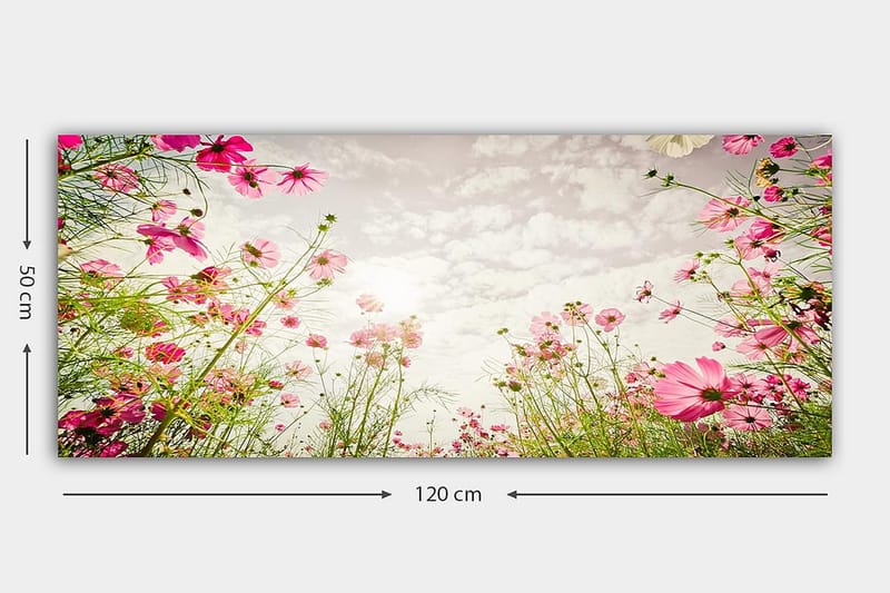 Canvastavla YTY Floral & Botanical Flerfärgad - 120x50 cm - Inredning - Tavlor & posters - Canvastavla
