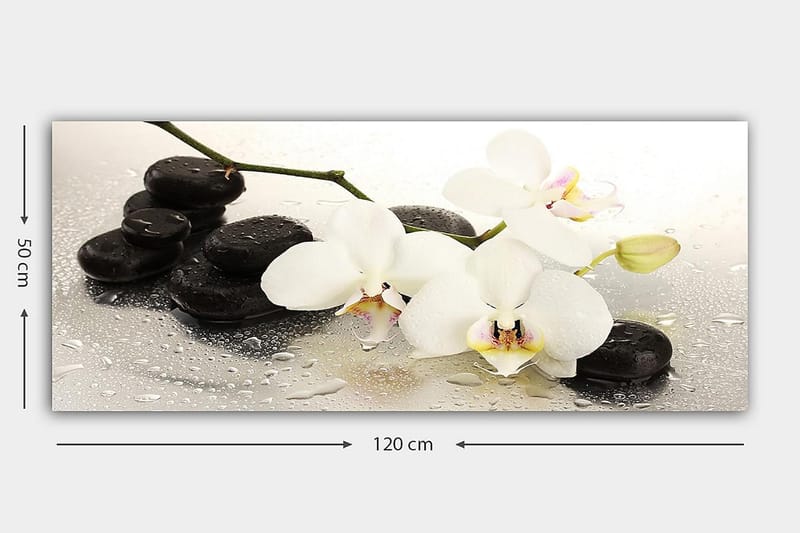 Canvastavla YTY Floral & Botanical Flerfärgad - 120x50 cm - Inredning - Tavlor & posters - Canvastavla