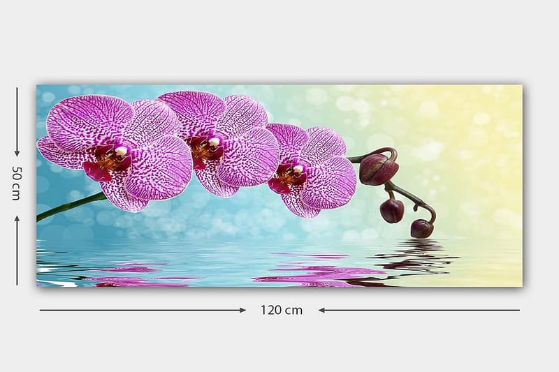 Canvastavla YTY Floral & Botanical Flerfärgad - 120x50 cm - Inredning - Tavlor & posters - Canvastavla