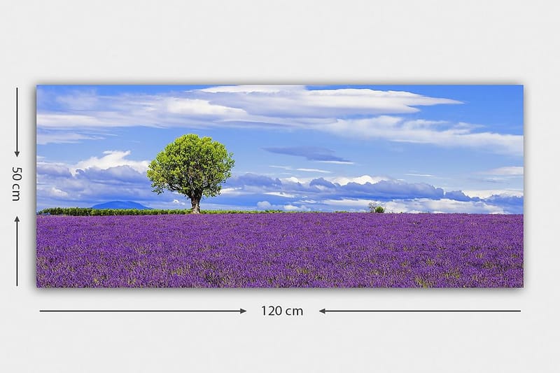 Canvastavla YTY Floral & Botanical Flerfärgad - 120x50 cm - Inredning - Tavlor & posters - Canvastavla