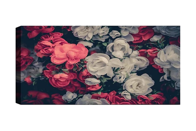 Canvastavla YTY Floral & Botanical Flerfärgad - 120x50 cm - Inredning - Tavlor & posters - Canvastavla