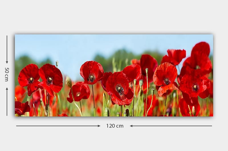 Canvastavla YTY Floral & Botanical Flerfärgad - 120x50 cm - Inredning - Tavlor & posters - Canvastavla
