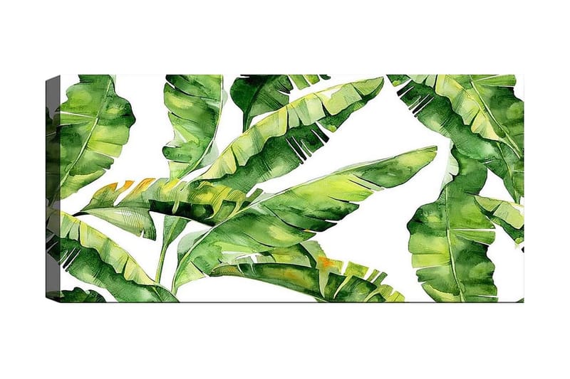Canvastavla YTY Floral & Botanical Flerfärgad - 120x50 cm - Inredning - Tavlor & posters - Canvastavla
