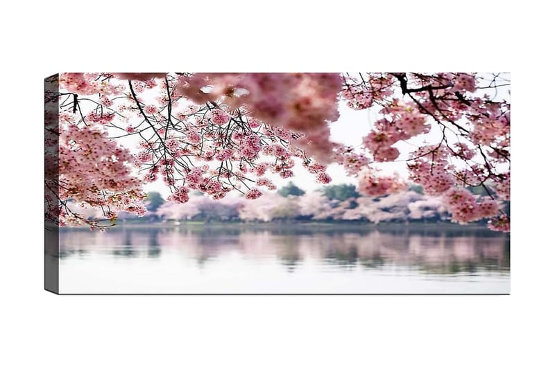 Canvastavla YTY Floral & Botanical Flerfärgad - 120x50 cm - Inredning - Tavlor & posters - Canvastavla