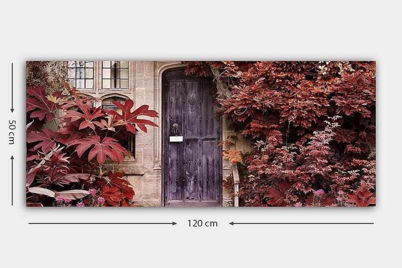 Canvastavla YTY Floral & Botanical Flerfärgad - 120x50 cm - Inredning - Tavlor & posters - Canvastavla