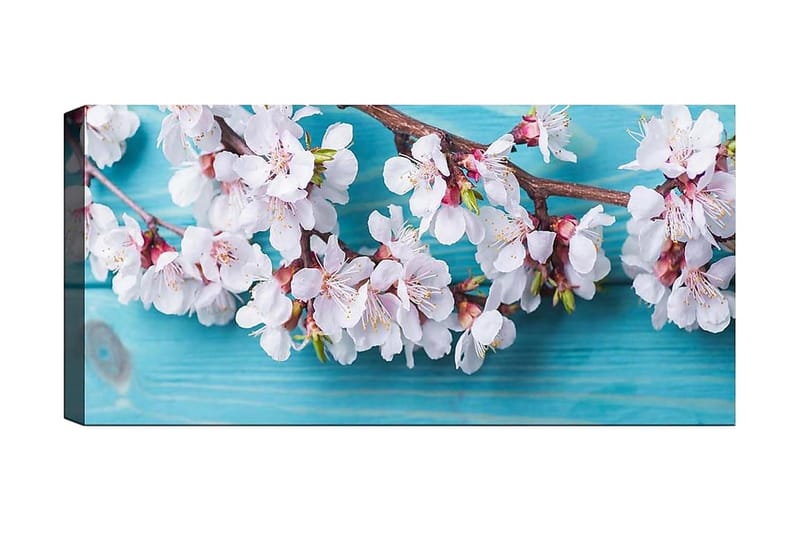 Canvastavla YTY Floral & Botanical Flerfärgad - 120x50 cm - Inredning - Tavlor & posters - Canvastavla