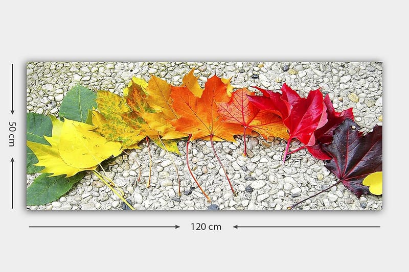 Canvastavla YTY Floral & Botanical Flerfärgad - 120x50 cm - Inredning - Tavlor & posters - Canvastavla